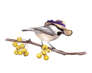 8x10 No27 Chickadee