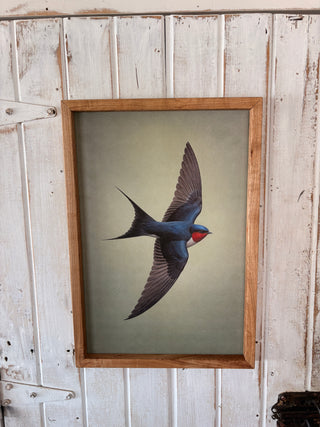 Swallow bird print LG