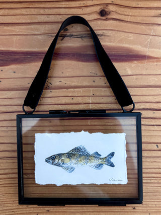 Print - Tiny fish, sauger