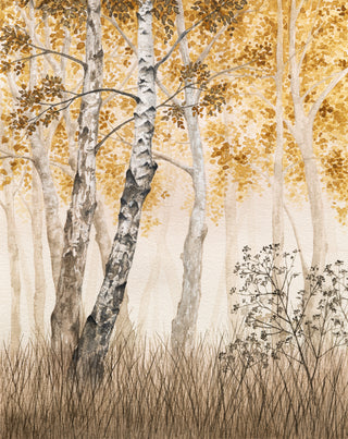 Print - Fall Birches 8 x 10 in.