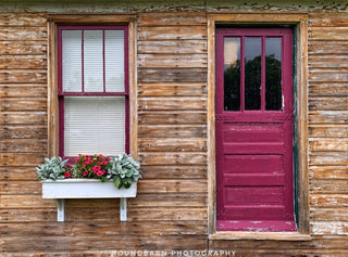 Greeting Card: Summer Door & Window