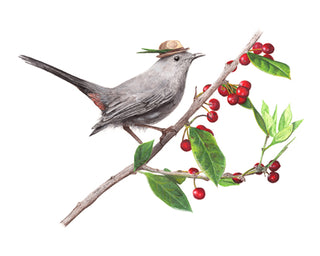 A2 No28 Catbird