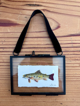 Print - Tiny fish, brook trout