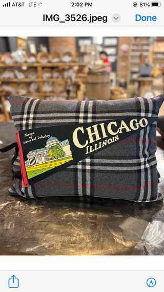 Chicago Illinois pennant pillow