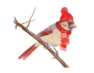 8x10 No16 Cardinal