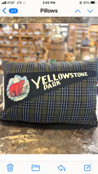 Yellowstone national park pennant pillow