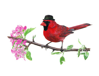 8x10 No15 Cardinal