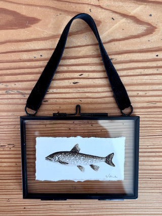 Print - Tiny fish, lake trout