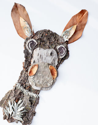 Donkey "Earl" Nature Art Card
