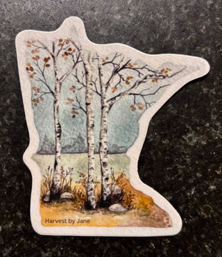 Sticker - MN Birches