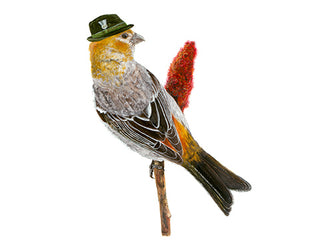 8x10 No17 Grosbeak