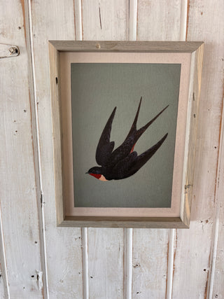 Swallow Bird Print MD
