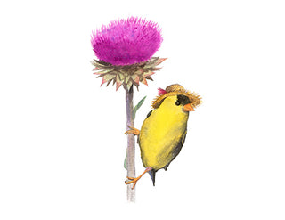 8x10 No02 Goldfinch