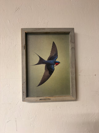 Swallow Bird print SM