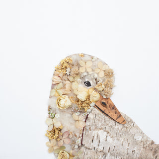 Duck Nature Art Print