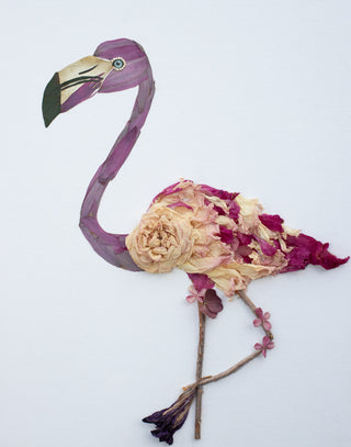 Flamingo "Fran" Nature Art Print